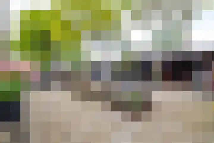 Noardkamp 7 Bakkeveen thumbnail 19