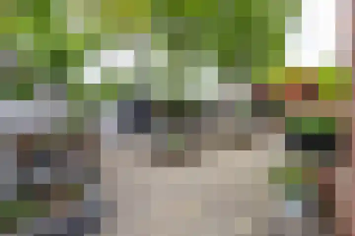 Noardkamp 7 Bakkeveen thumbnail 20