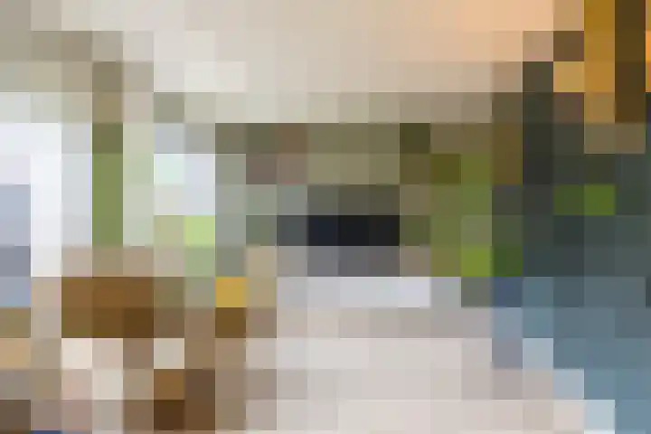 Noardkamp 7 Bakkeveen thumbnail 5