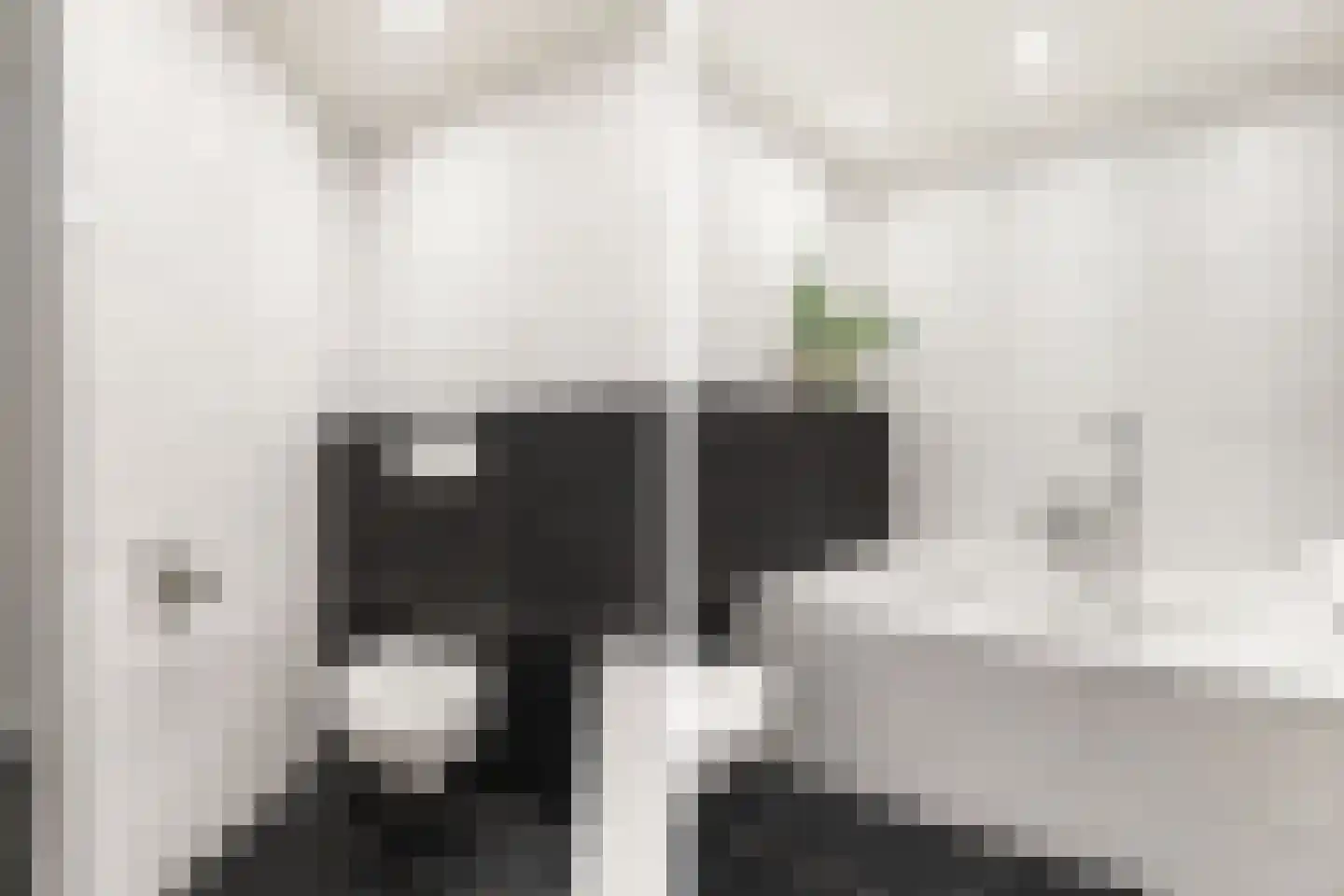 Noardkant 20 Aldeboarn thumbnail 27