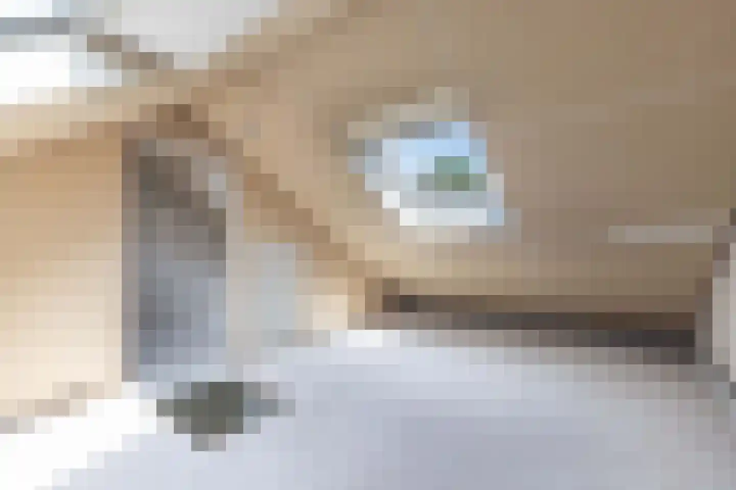Noardkant 20 Aldeboarn thumbnail 30