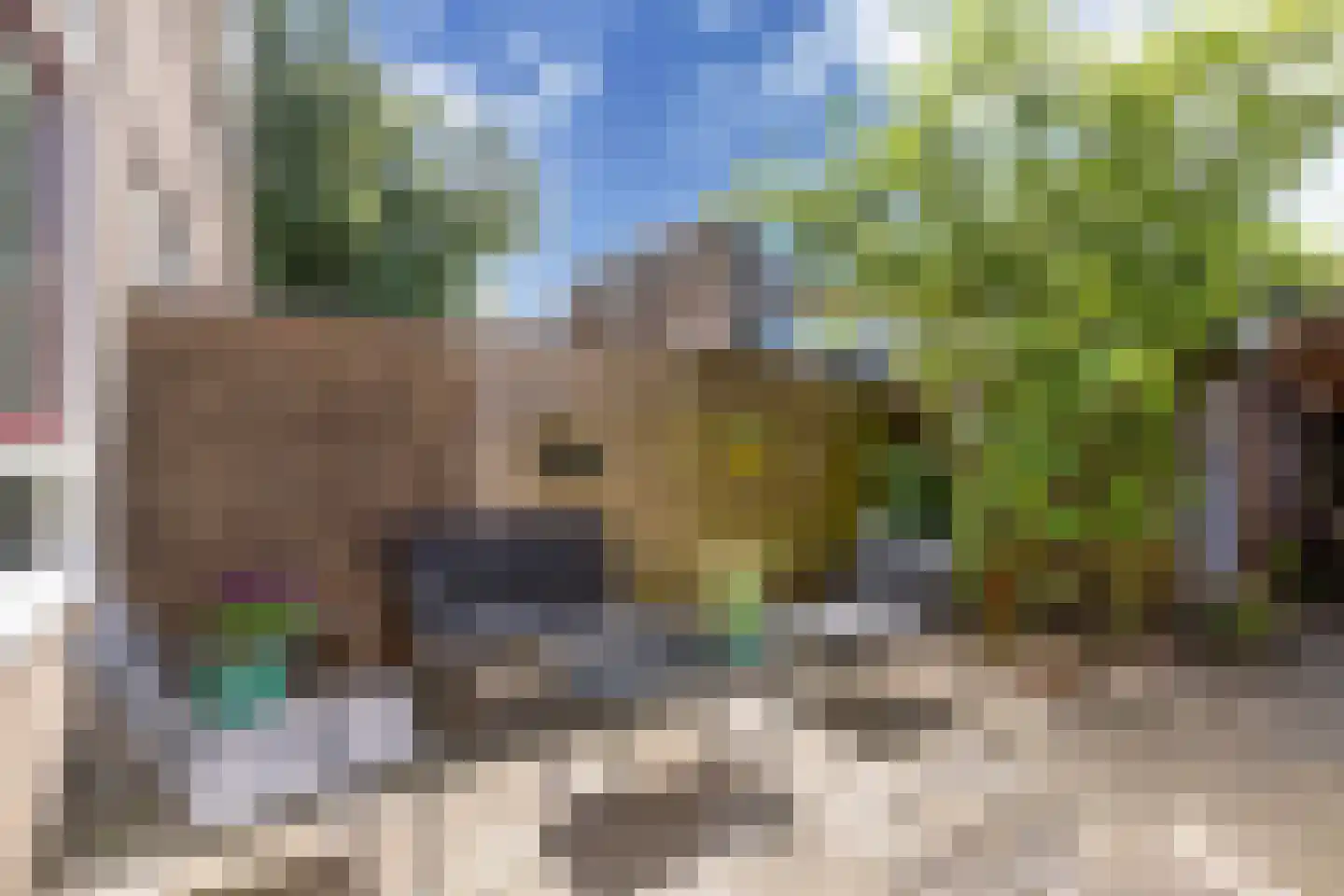 Noardkant 20 Aldeboarn thumbnail 32