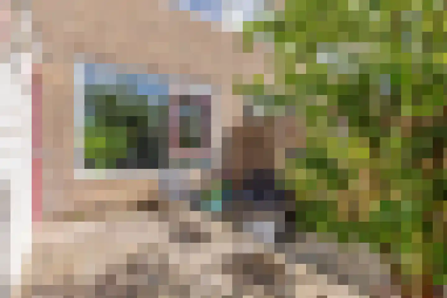 Noardkant 20 Aldeboarn thumbnail 37