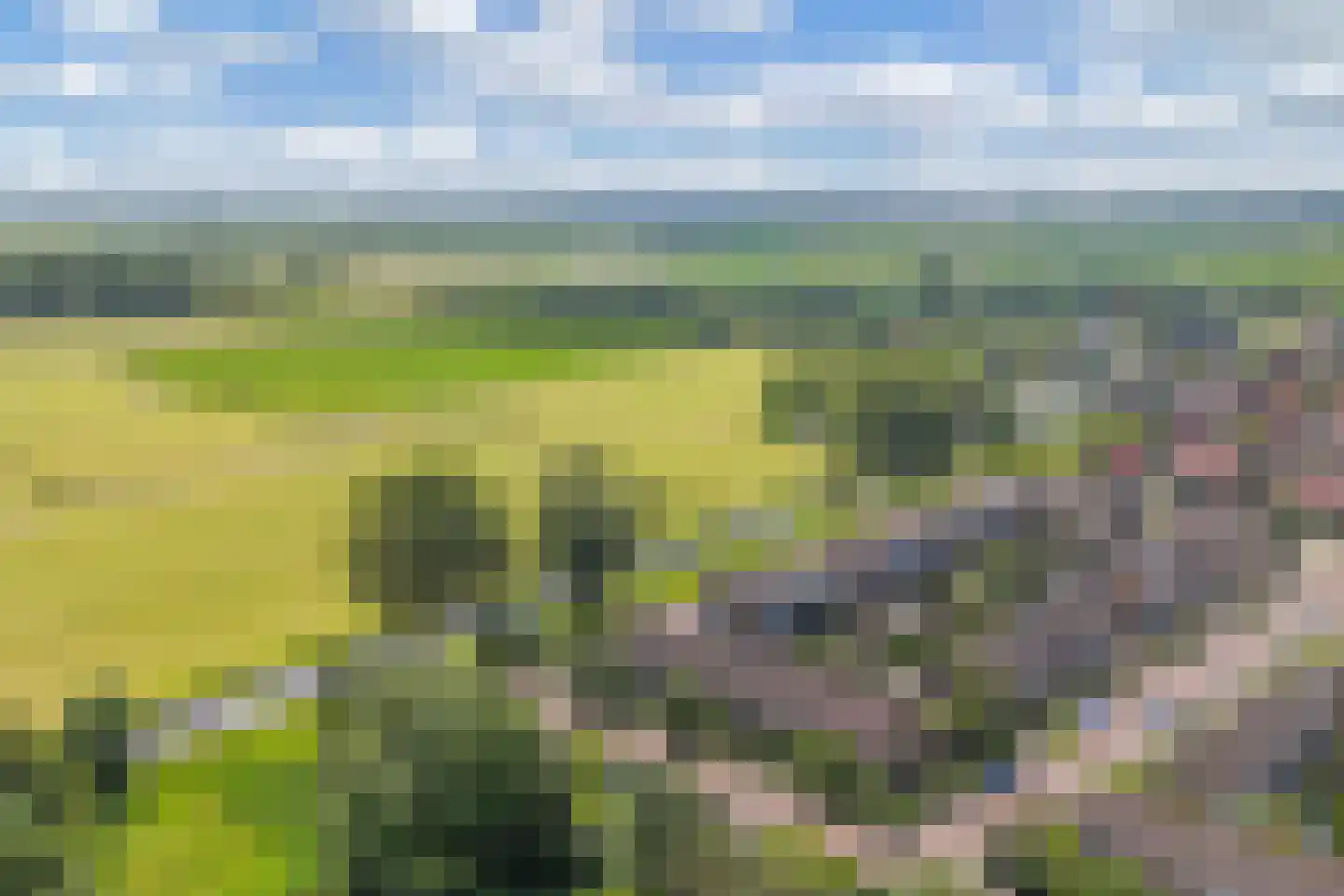 Noardkant 20 Aldeboarn thumbnail 41