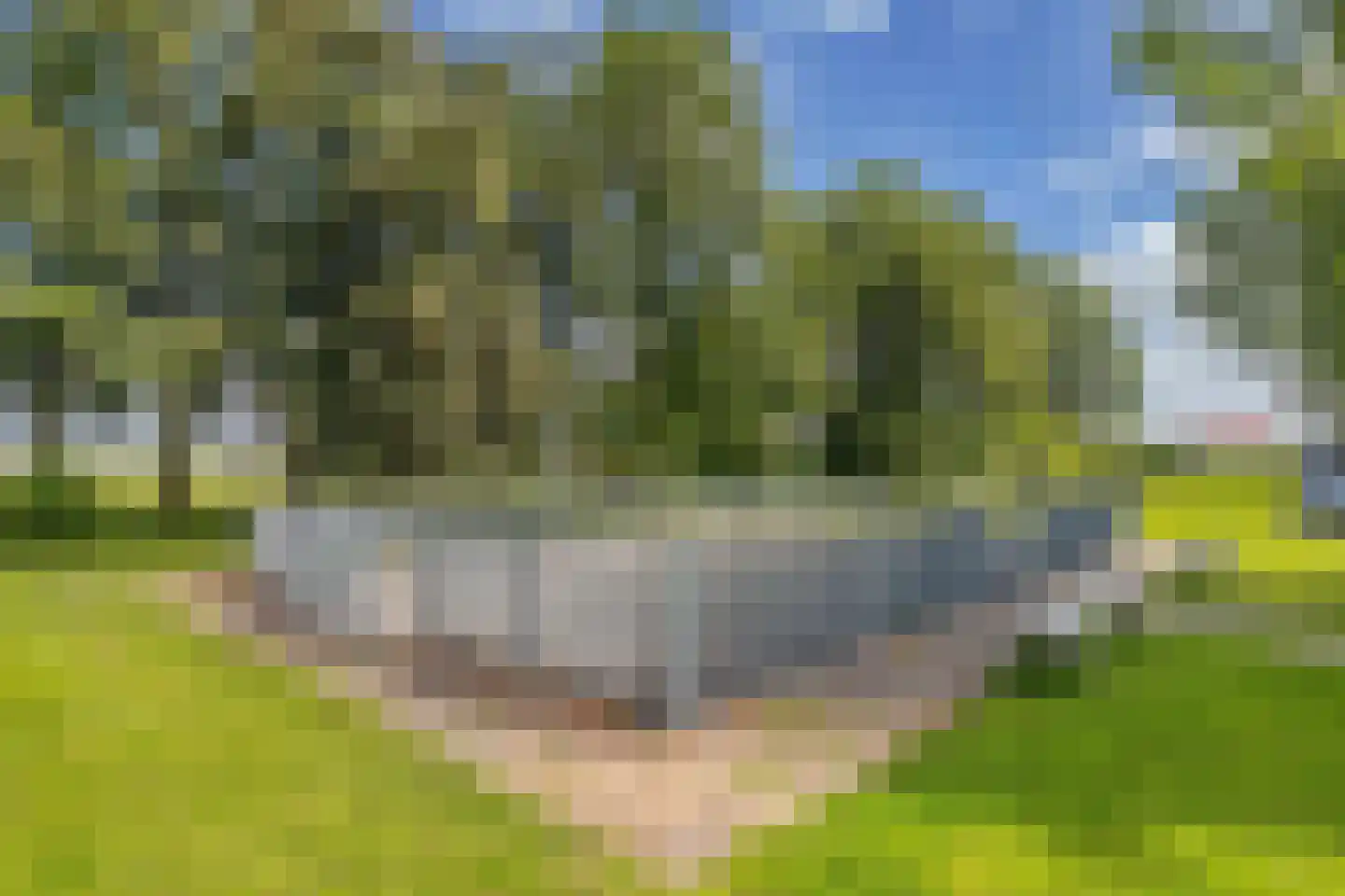 Noardkant 20 Aldeboarn thumbnail 42