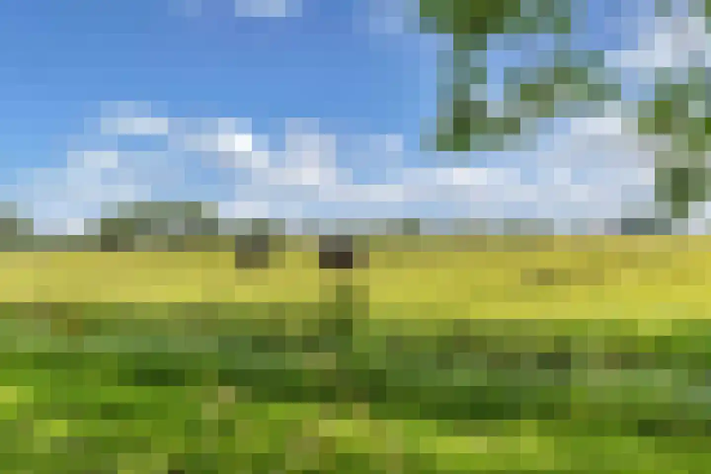 Noardkant 20 Aldeboarn thumbnail 43
