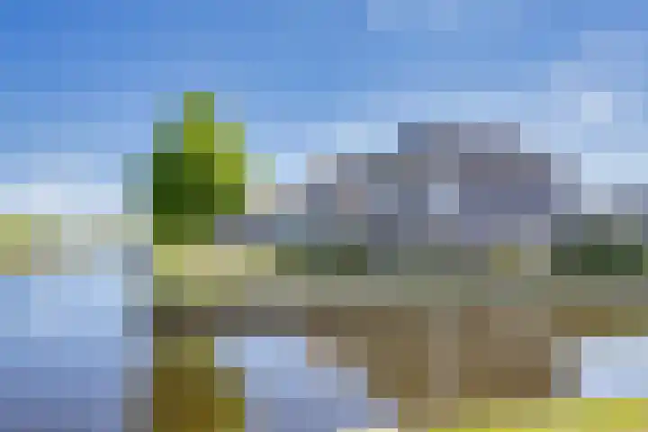 Noardwâl 15 Balk thumbnail 11
