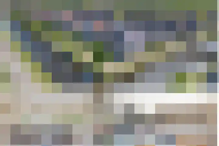 Noardwâl 15 Balk thumbnail 15