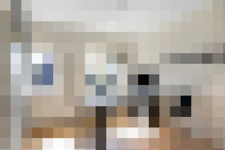 Noardwâl 15 Balk thumbnail 32