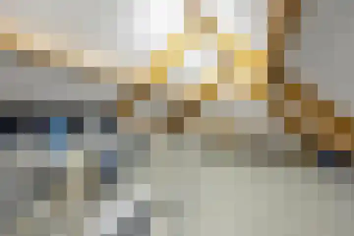 Noardwâl 15 Balk thumbnail 36