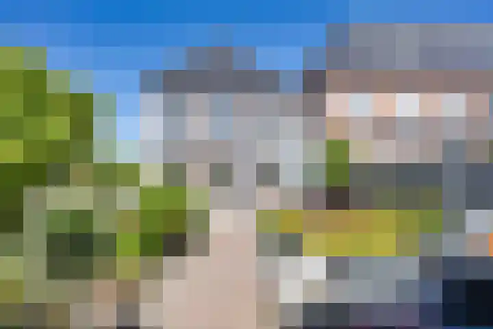 Noardwâl 15 Balk thumbnail 39