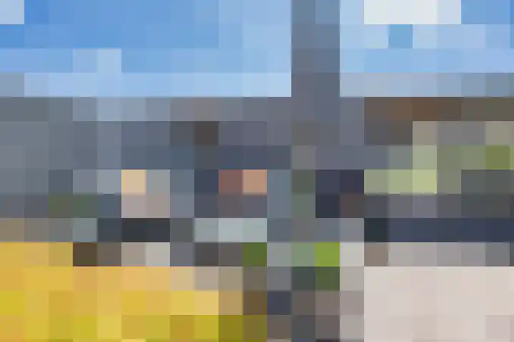 Noardwâl 15 Balk thumbnail 40