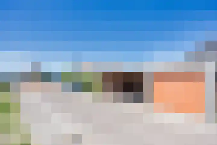 Noardwâl 15 Balk thumbnail 45