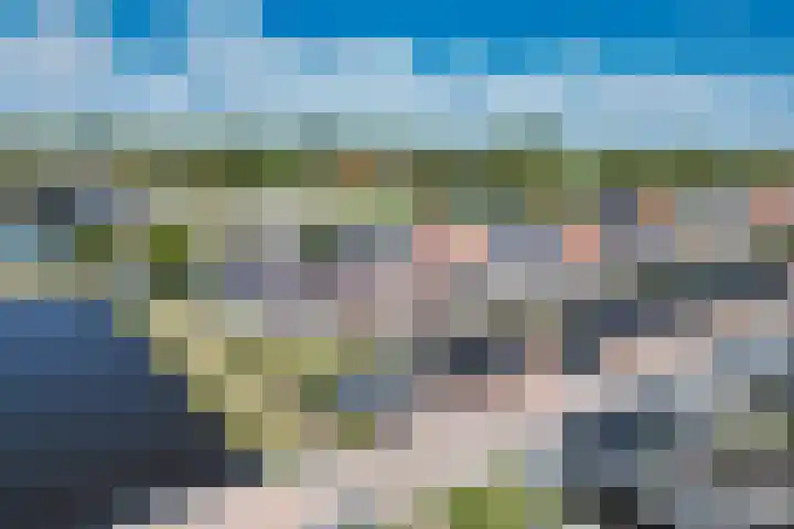 Noardwâl 15 Balk thumbnail 47