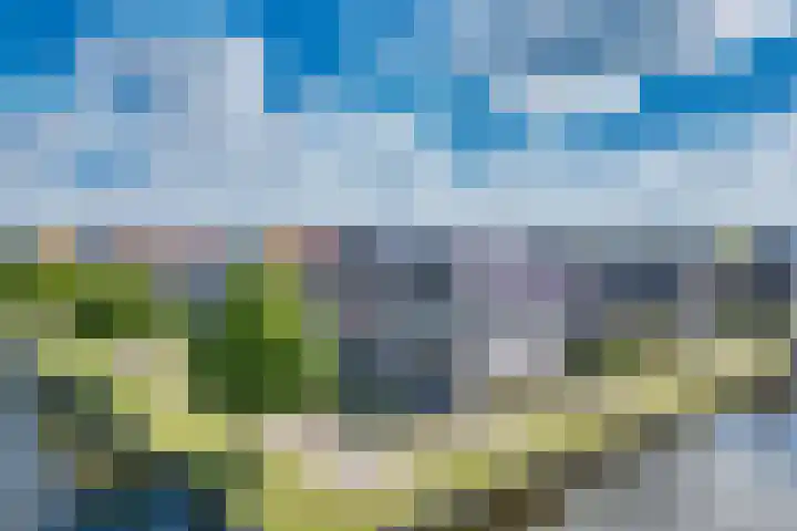Noardwâl 15 Balk thumbnail 48