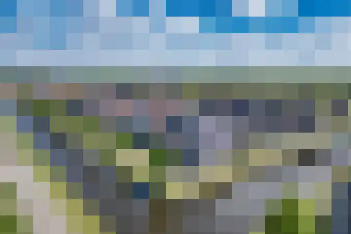 Noardwâl 15 Balk thumbnail 5