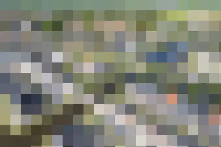 Noardwâl 15 Balk thumbnail 50