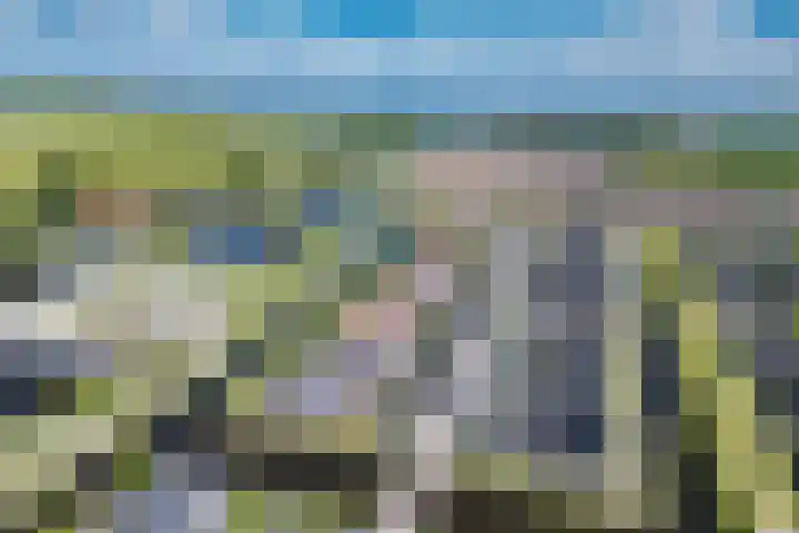 Noardwâl 15 Balk thumbnail 6