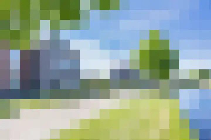 Noardwâl 15 Balk thumbnail 7