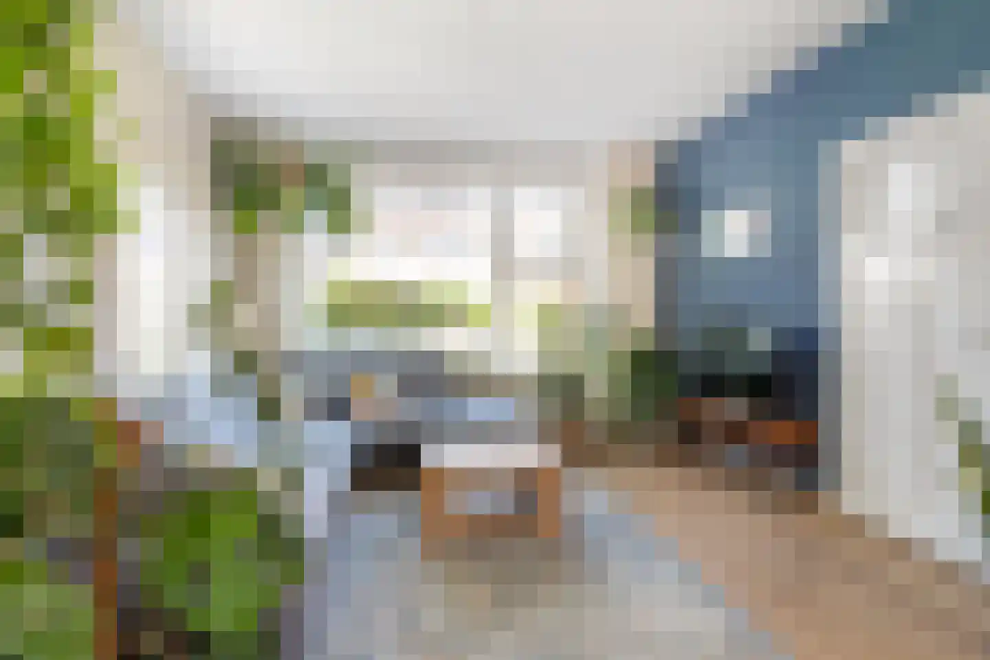 Noardwâl 19 Grou thumbnail 10
