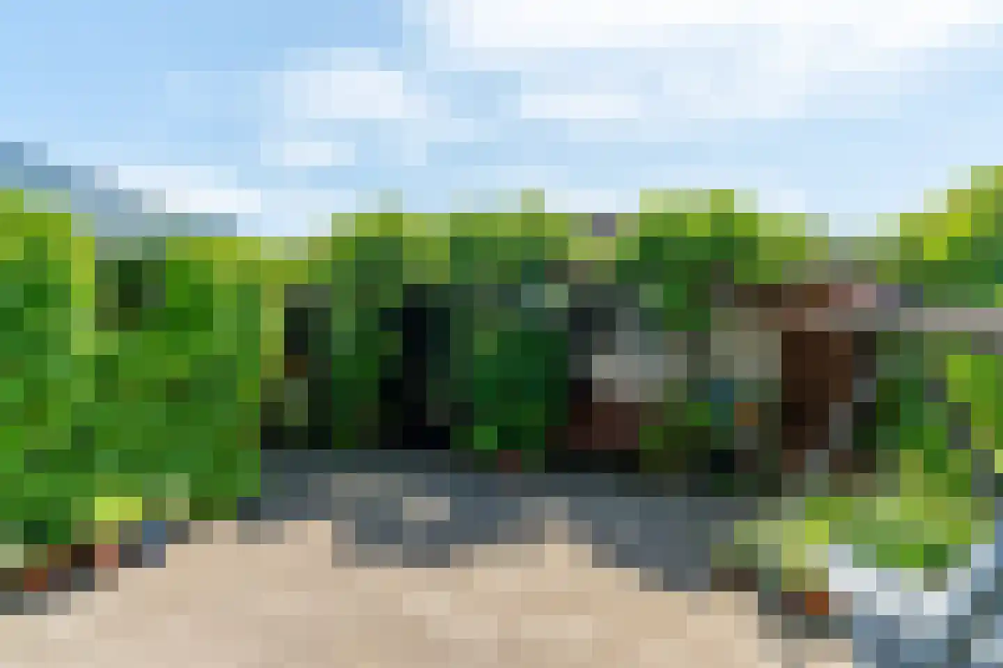 Noardwâl 19 Grou thumbnail 33