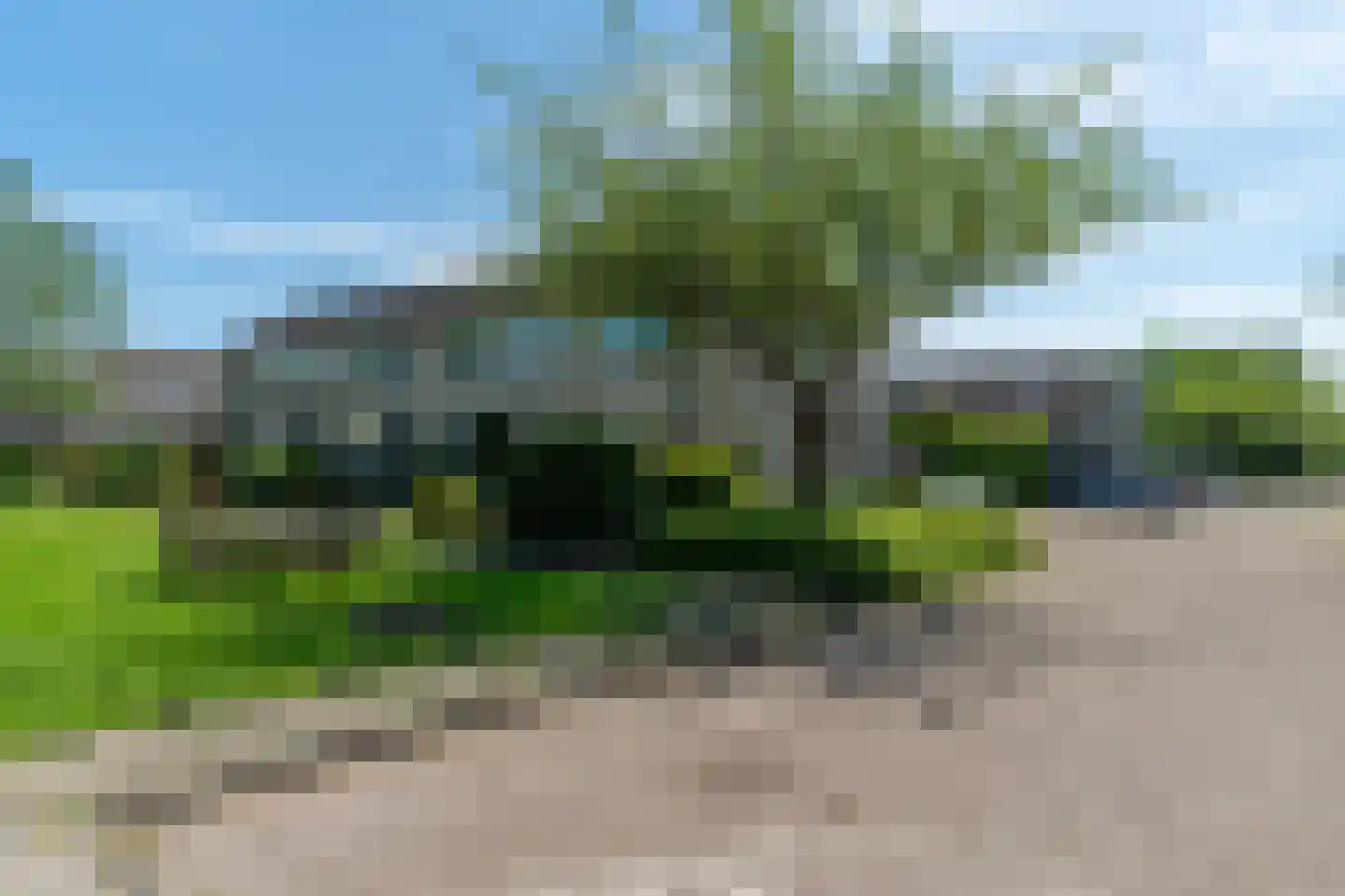 Noardwâl 19 Grou thumbnail 36