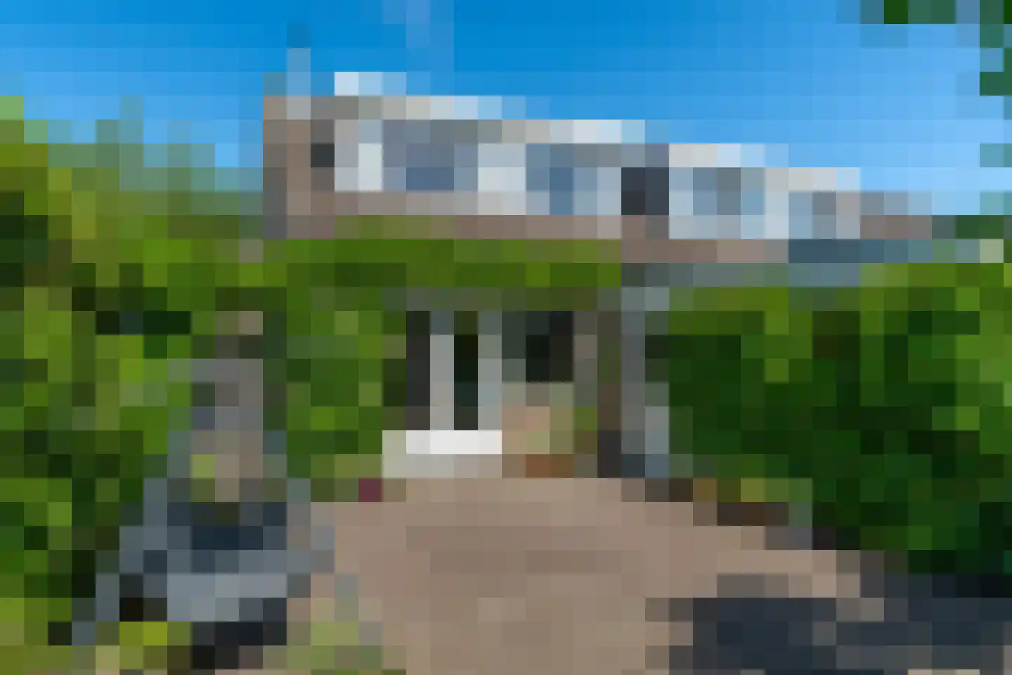 Noardwâl 19 Grou thumbnail 5