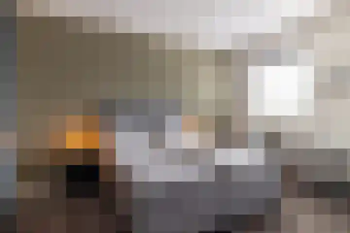 Noardwâl 9 Balk thumbnail 26