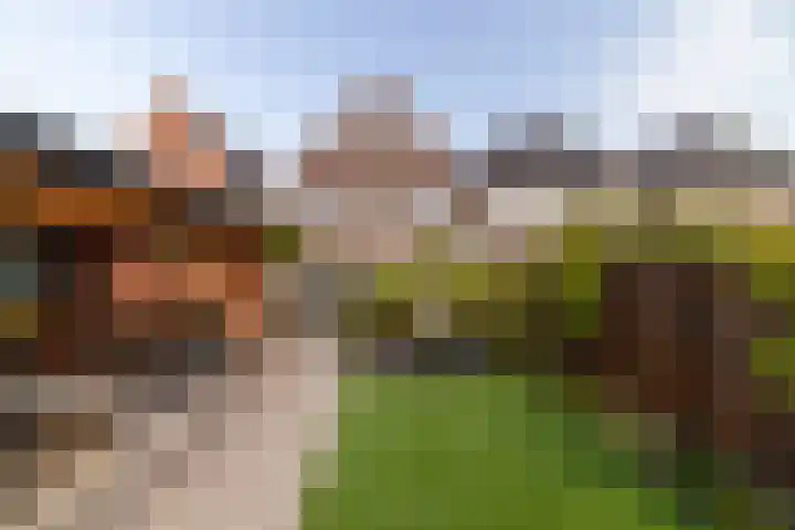 Noardwâl 9 Balk thumbnail 41