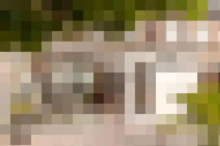 Noardwâl 9 Balk thumbnail 42