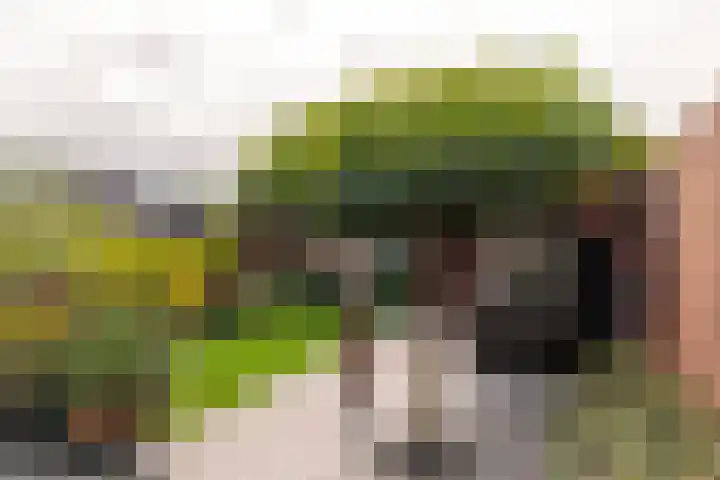 Noardwâl 9 Balk thumbnail 43