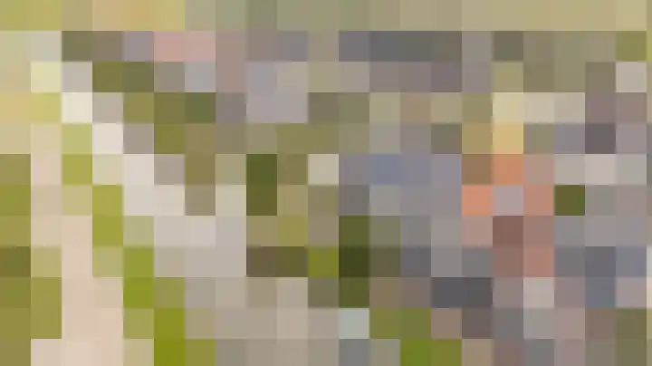 Noardwâl 9 Balk thumbnail 58