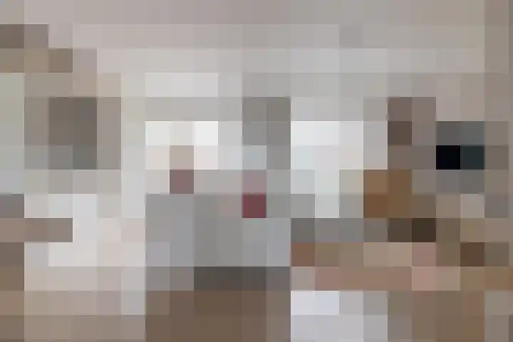 Noardwâl 9 Balk thumbnail 6