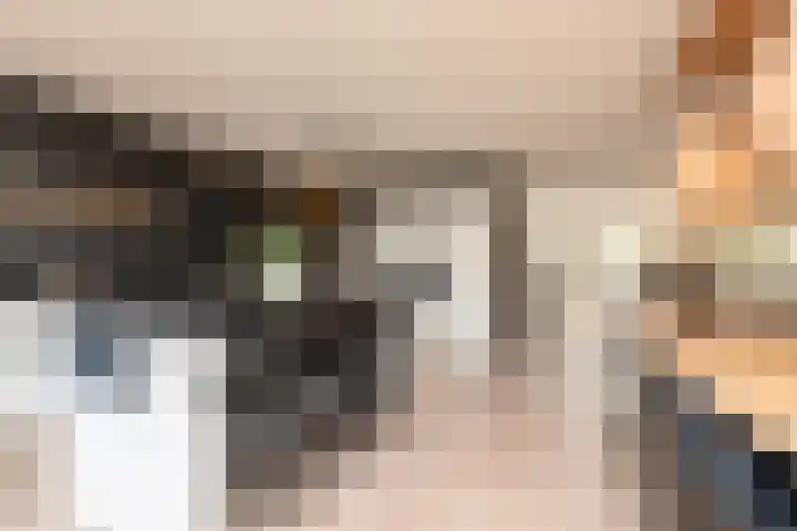 Noardwei 7 Sneek thumbnail 15
