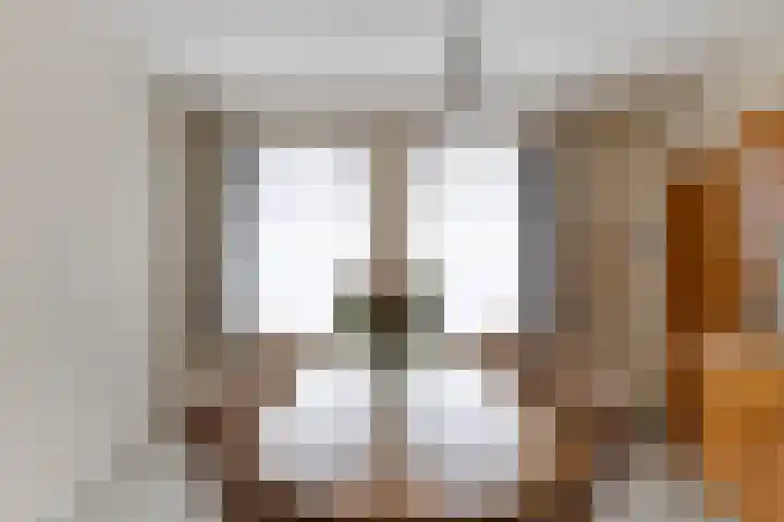 Noardwei 7 Sneek thumbnail 29