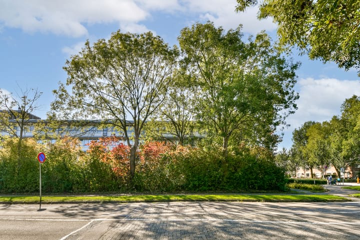 Nobel 15 dans Mijdrecht photo