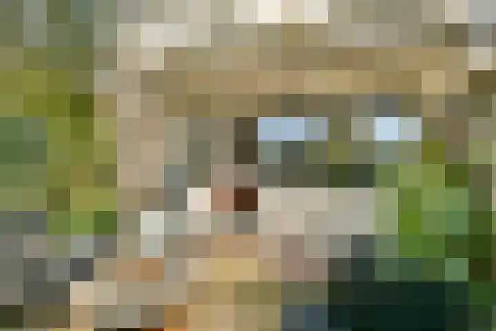 Nobel 15 Mijdrecht thumbnail 10