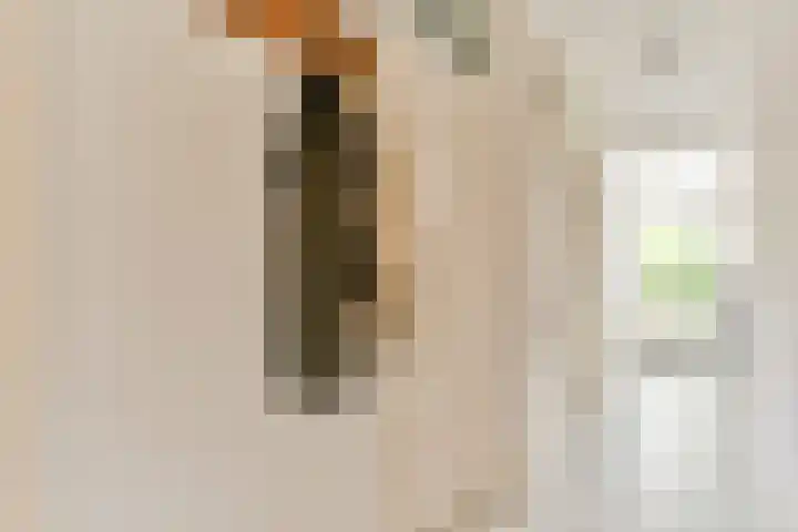 Nobel 15 Mijdrecht thumbnail 11
