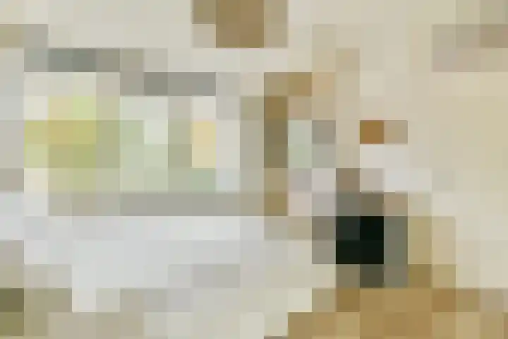 Nobel 15 Mijdrecht thumbnail 12