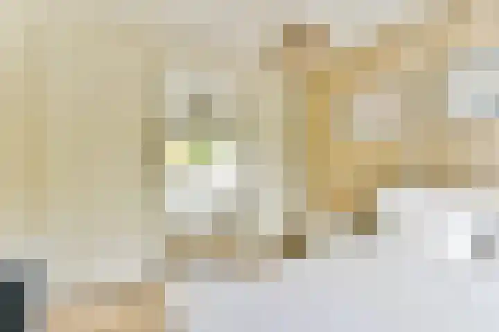 Nobel 15 Mijdrecht thumbnail 13