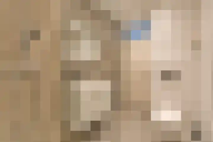 Nobel 15 Mijdrecht thumbnail 14