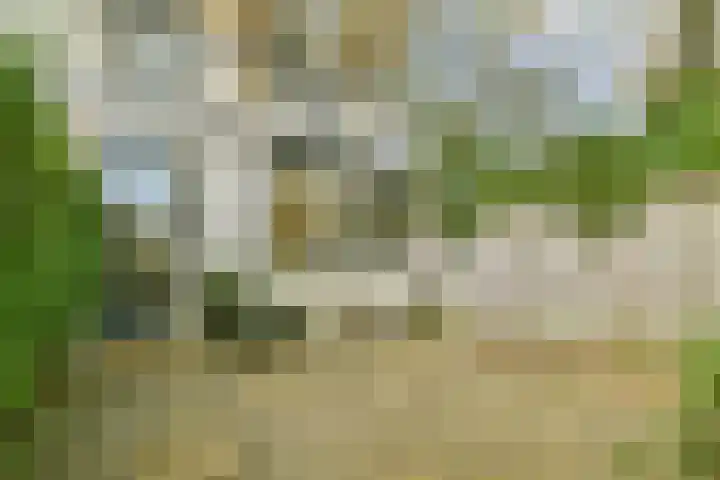 Nobel 15 Mijdrecht thumbnail 16