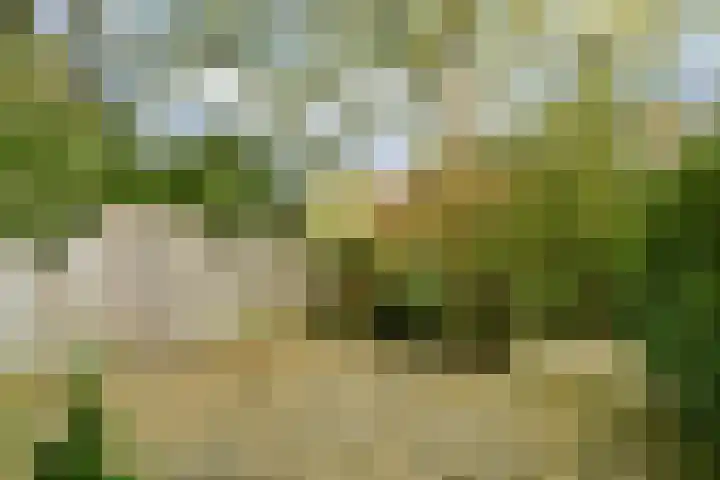 Nobel 15 Mijdrecht thumbnail 17