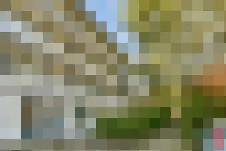 Nobel 15 Mijdrecht thumbnail 18