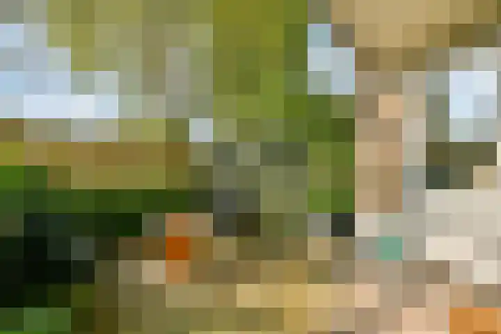 Nobel 15 Mijdrecht thumbnail 9