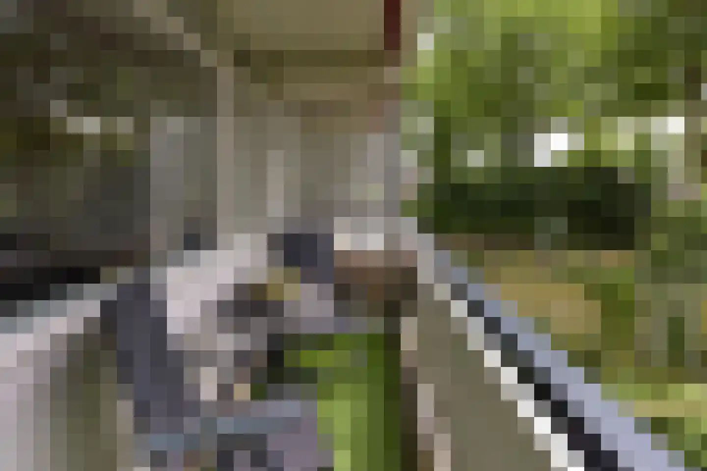 Nobel 18 Mijdrecht thumbnail 5