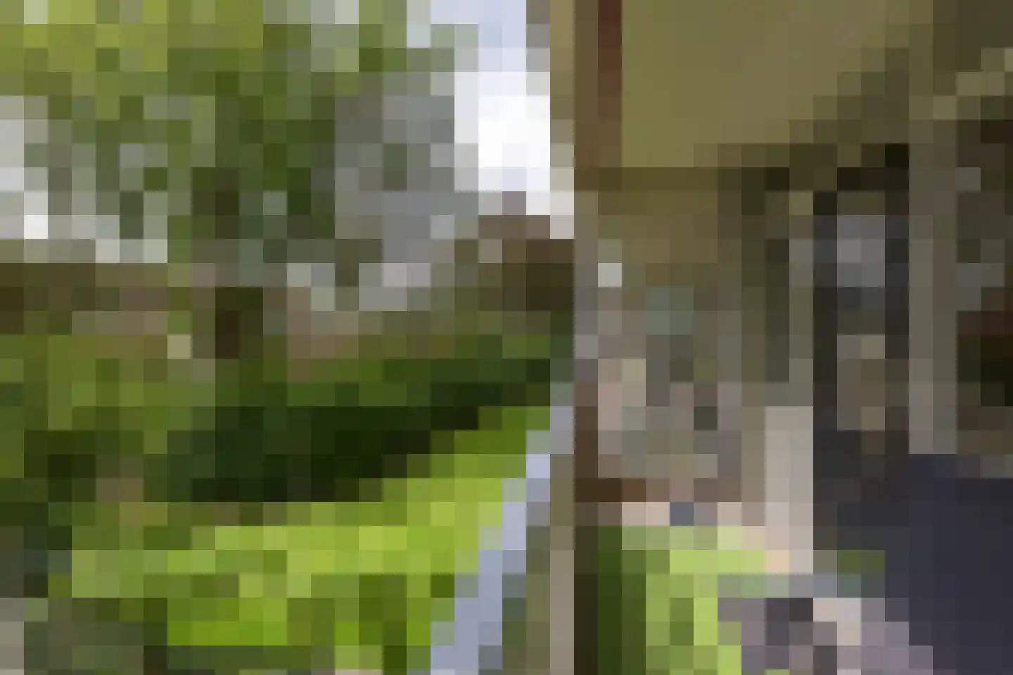 Nobel 18 Mijdrecht thumbnail 6