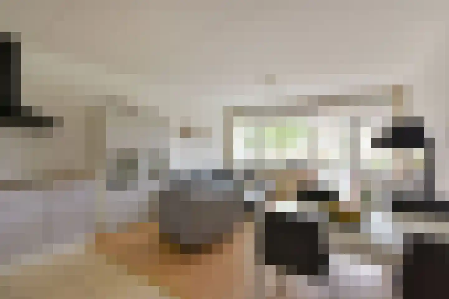 Nobel 18 Mijdrecht thumbnail 8