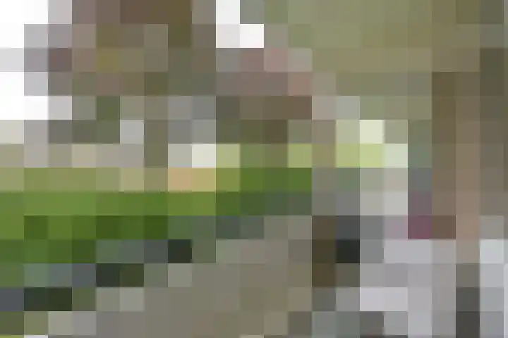 Nobel 22 Mijdrecht thumbnail 11