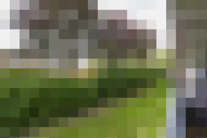 Nobel 22 Mijdrecht thumbnail 12